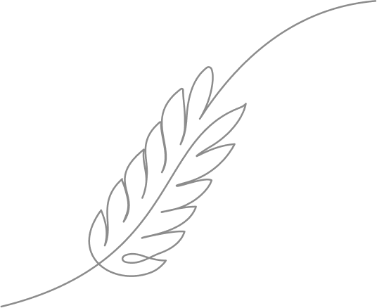 First Response Healthcare Feather Icon